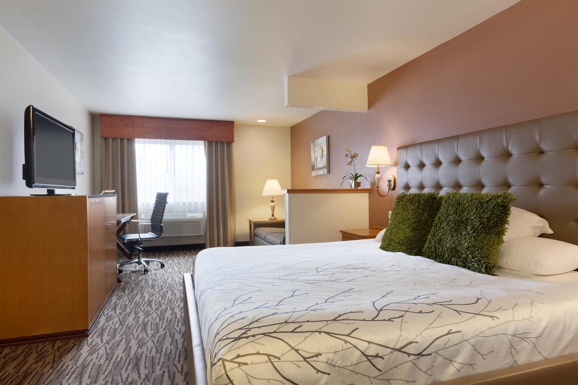 Hotel Western Peppertree Airport 3*