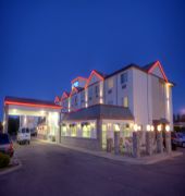 Hotel Western Peppertree Airport
